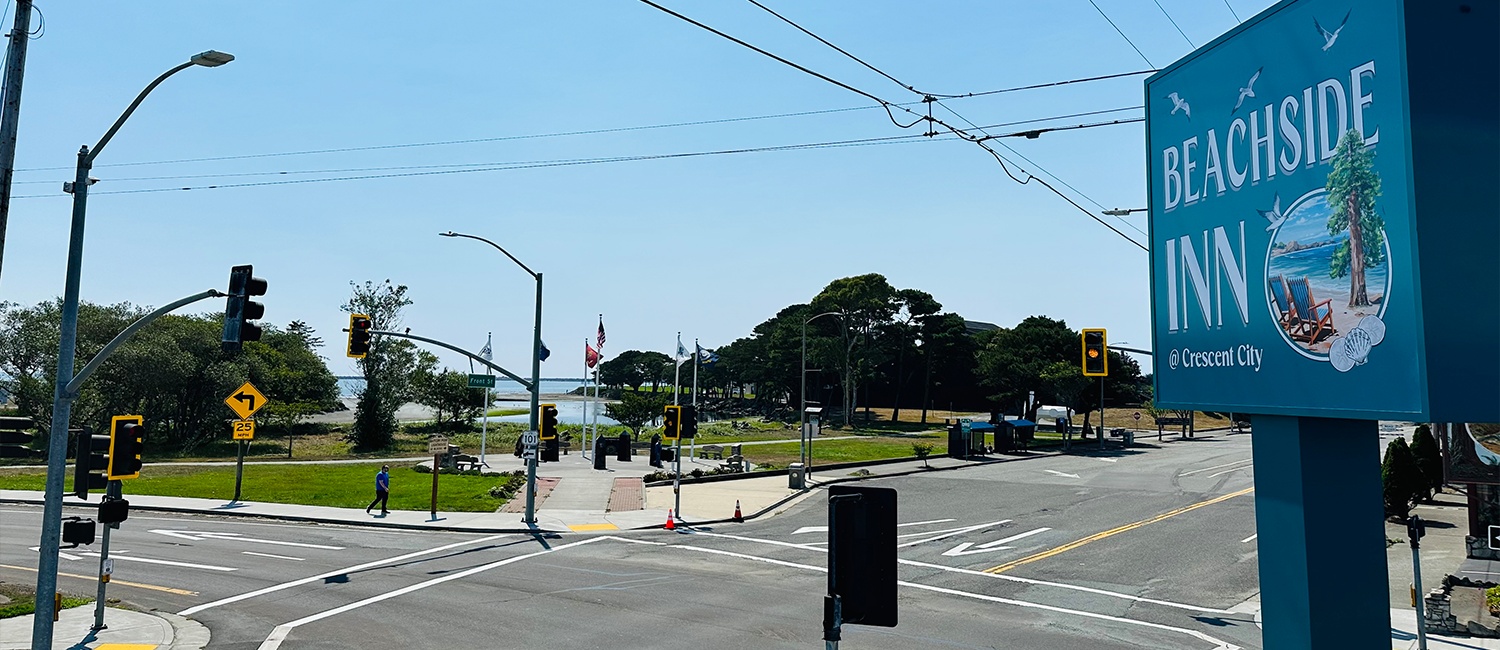 Our Crescent city hotel is steps from the beach